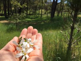 Universal Lucks: Our Saving of Blessings