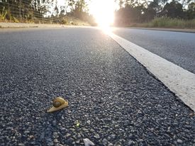 Who love eating chilli: who like suffering