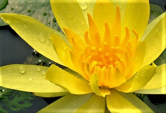 Part2 True Buddhism: separating teachings from add-ons